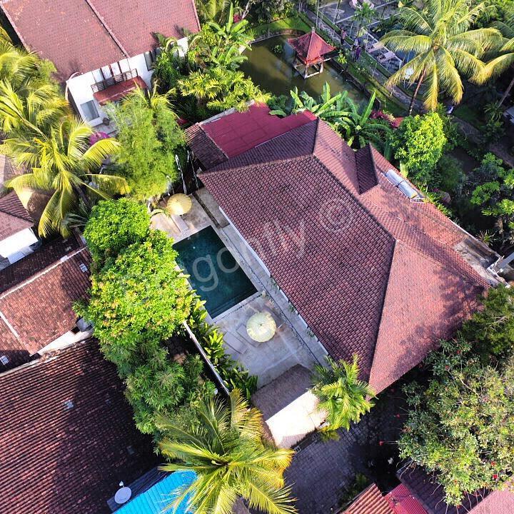 เดอะ รอยัล ปาล์ม วิลลา Hotel อูบุด ภายนอก รูปภาพ